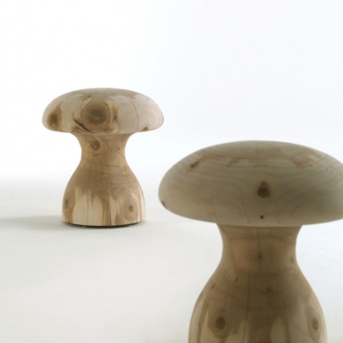 Stool Boletus