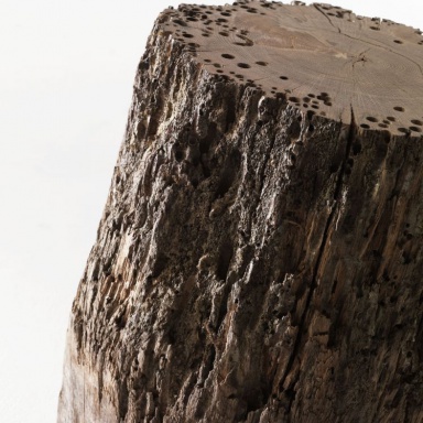 Bricola Venezia Stool