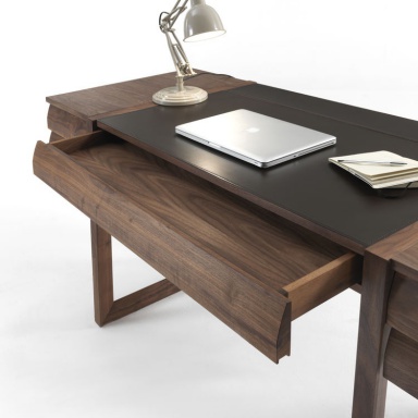 Elle Ecrit Desk