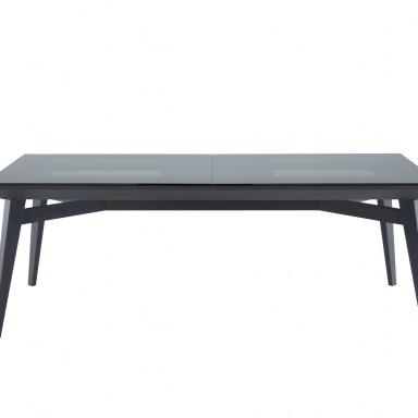 Dining table RACINES 