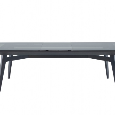 Dining table RACINES 