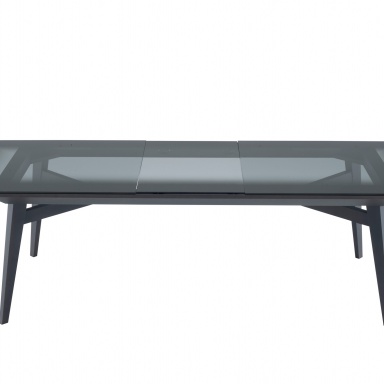 Dining table RACINES 