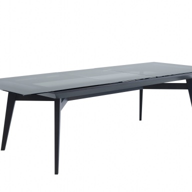 Dining table RACINES 