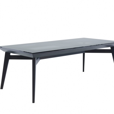 Dining table RACINES 