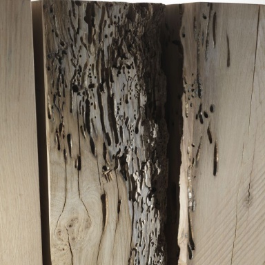 Console Codice: Briccole