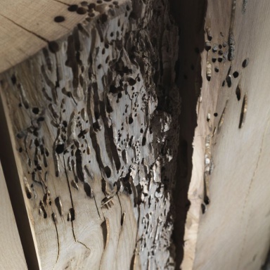 Console Codice: Briccole