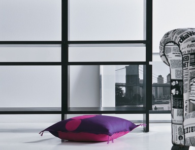 Bilateral bookcase Unless, Pianca (wall Cabinet for the hall and anteroom, Italy)