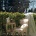 Chair Ambiente Giorno