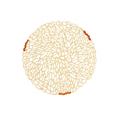 Dining table T-Table