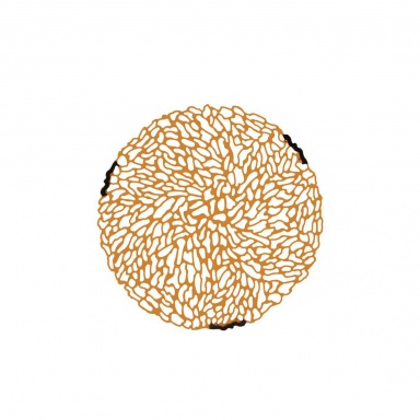 Coffee table T-Table