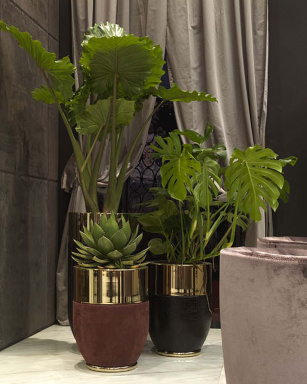 Stand for flowers Godwin