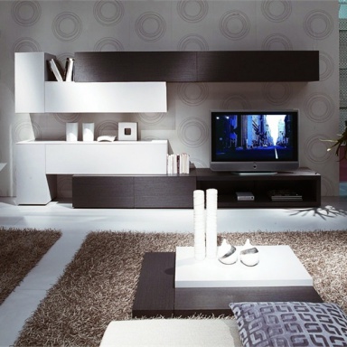 modular storage system Modus