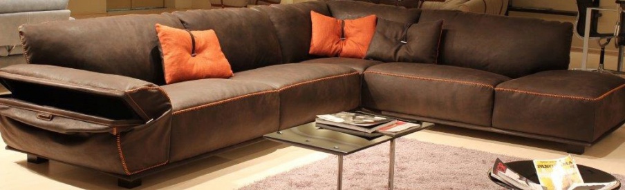 Sofa with leather upholstery saloon, Gamma Aredamenti