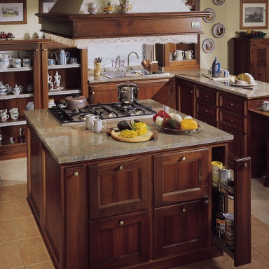 Kitchen furniture kitchen) Canova