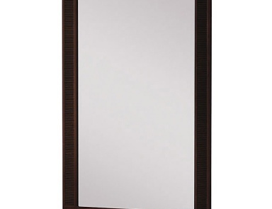 The mirror in the frame, Selva