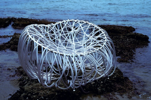 Chair Anemone