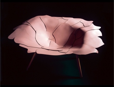 Aquagpe leather chair, Edra