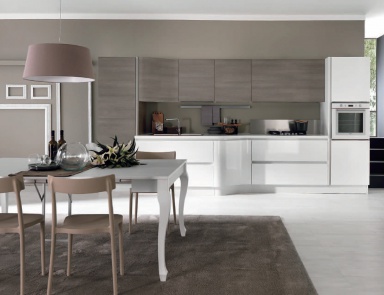 Kitchen (Suite kitchen), Terra, Aran Cucine (mini kitchen)