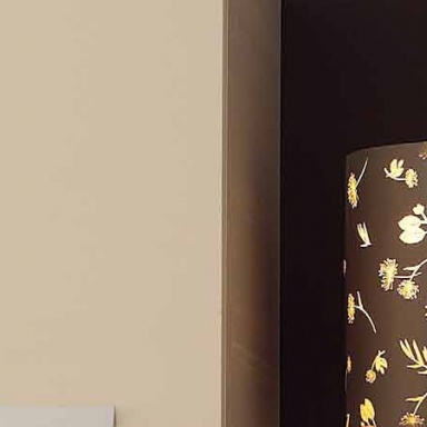 Kitchen (kitchen set) Erika