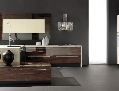 Kitchen (kitchen set) Teknica, Astra