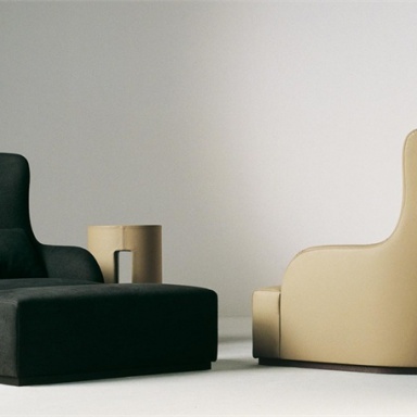 The Liu Skin Chair