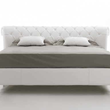 Bed Panther Evolution