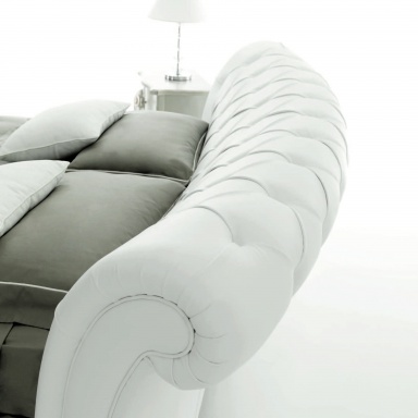 Bed Panther Evolution