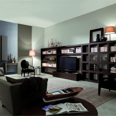 Shelving for books and TV Niky day