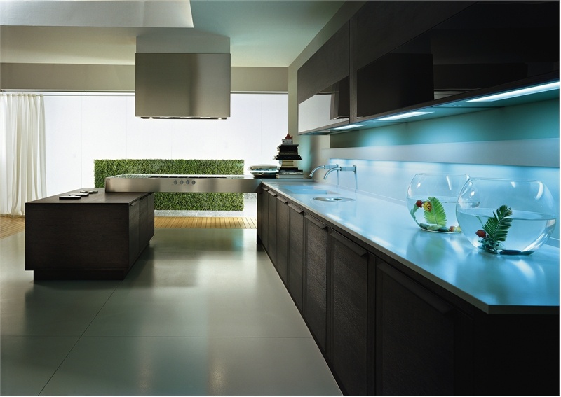 Kitchen (kitchen set) Pedini Integra